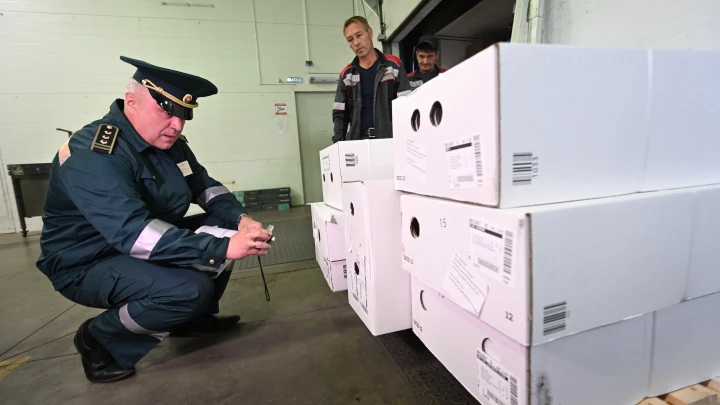 День таможенника: поздравления в прозе и стихах