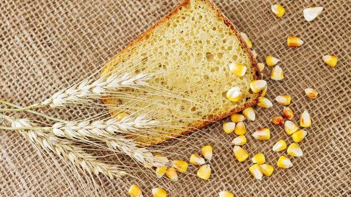 Резкое падение: Минсельхоз США изменил прогноз по урожаю пшеницы в России