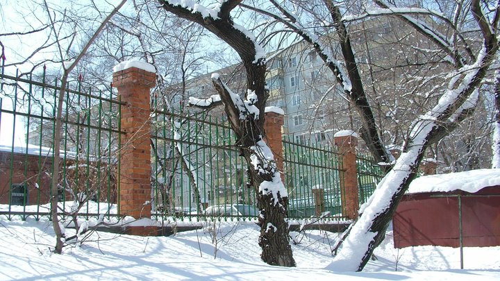 Женщина застряла головой в заборе в Москве