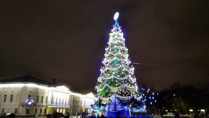 Завтра во Владимире начнут устанавливать главную городскую елку