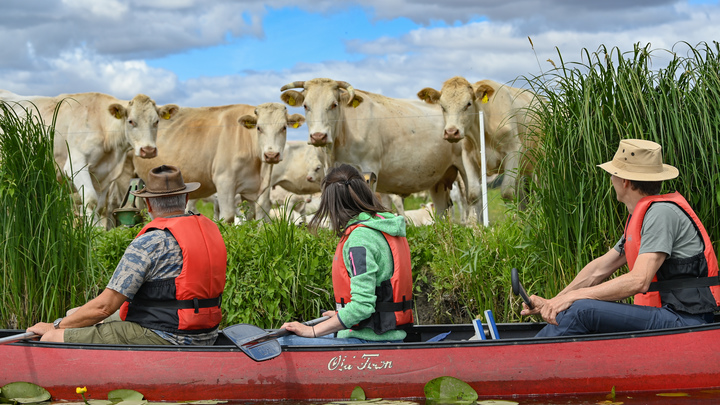 Идеальный отпуск: Советы врача — от аптечки до главных ошибок туриста