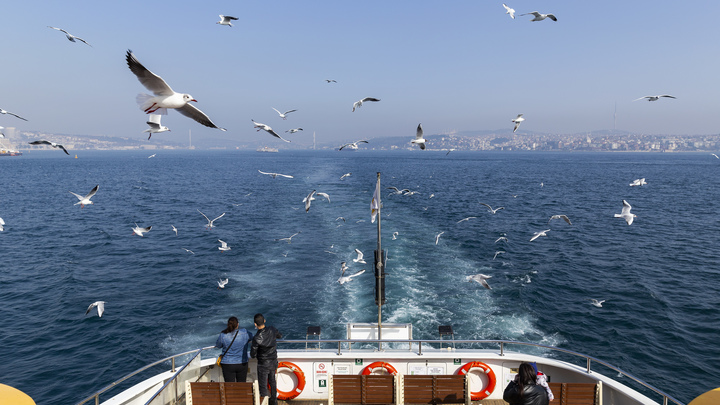 Паромы до Керчи больше не ходят - МЧС