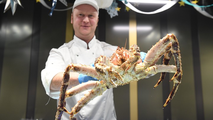 Русские взяли Японию в клещи: Бумеранг в Токио прилетел откуда не ждали