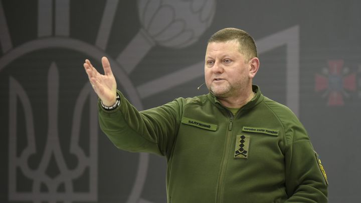 Мимолётный намёк Нуланд: Следующим президентом Украины станет Залужный?