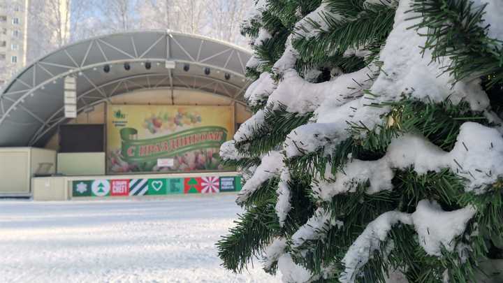 В Новый год в Новосибирске может потеплеть до -4 градусов