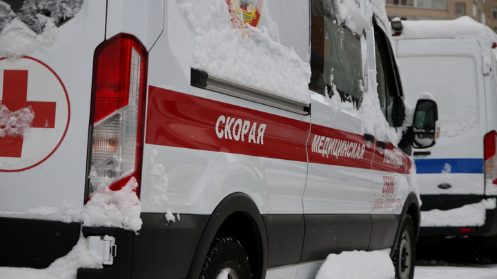 В Мытищах водитель маршрутки сбил пенсионера на пешеходном переходе