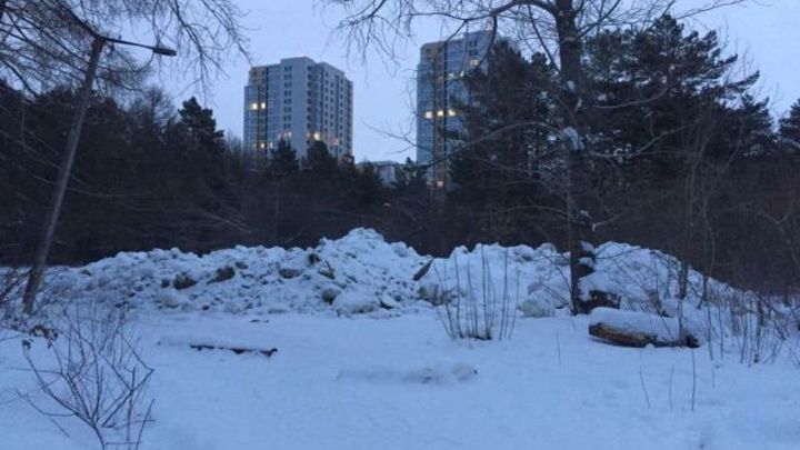 В Челябинске подрядчики незаконно сваливают грязный снег в городском бору
