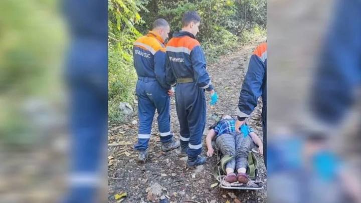 В Сочи спасатели пришли на помощь женщине, которая чуть не умерла от укуса осы