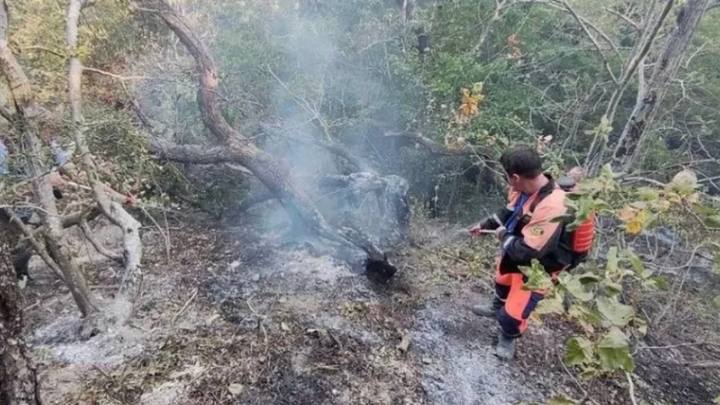 В Геленджике оценили ущерб от лесного пожара в Бобруковой Щели