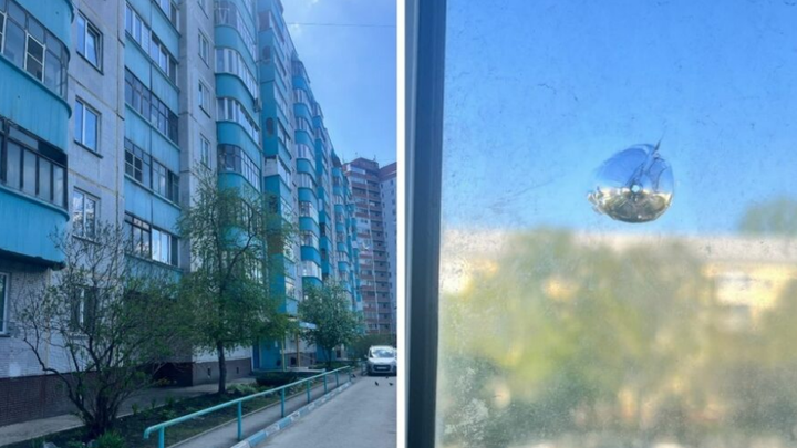 В Новосибирске стреляли в журналистку Алёну Пятенок