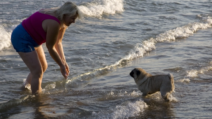 Туристы едут в Анапу: очистка моря от мазута продолжается, курортный сбор отменён