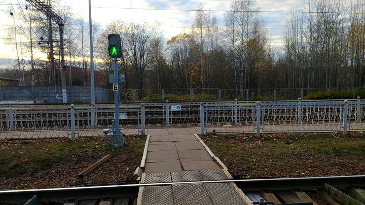 Двое жителей Самарской области погибли под колесами поезда
