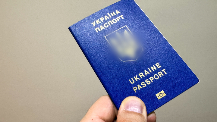 Periódico: Летчик Кузьминов въехал в Испанию по фальшивому паспорту Украины