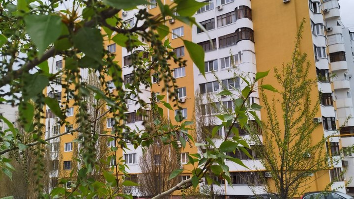 Забайкальские сироты пожаловались Бастрыкину на долгое ожидание квартир