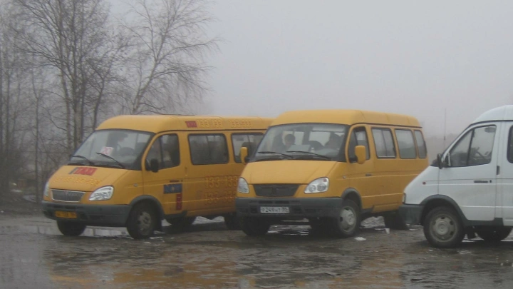 Пожар на стоянке маршруток в Люберцах уничтожил 30 автобусов