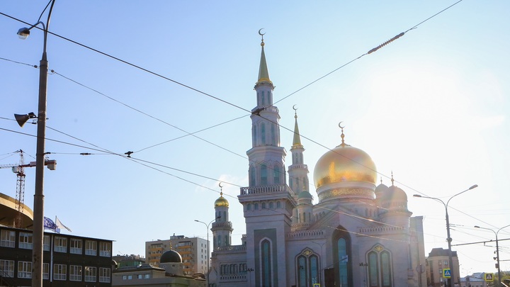 Депортирую!: Пожилая женщина рассказала об угрозах депутата в Москве