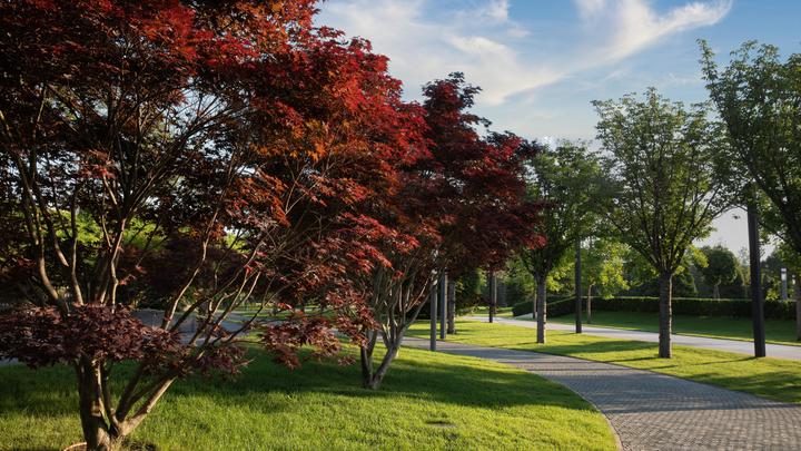 Парк Краснодар анонсировал расписание киносеансов под отрытым небом на предстоящий уик-энд