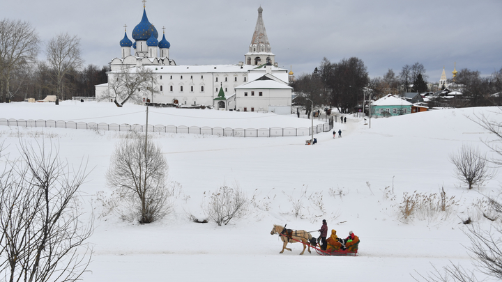 Суздалю подарили 18-метровую ель к 1000-летию