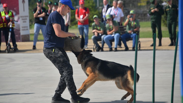 Настоящий патриот: Пёс спел гимн России на школьной линейке