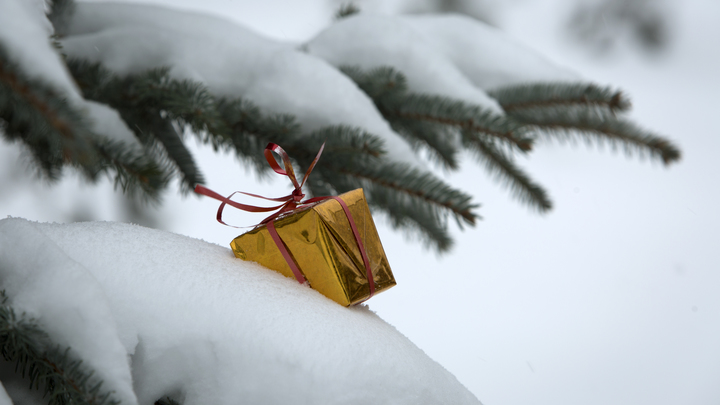 Мечты детей из Запорожской области исполнят руководители Ингушетии и Псковской области