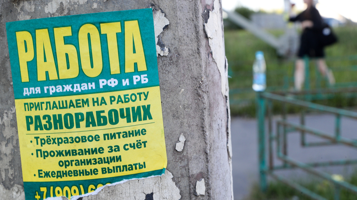 Названы самые востребованные профессии в Прикамье: зарплаты от 70 000 рублей