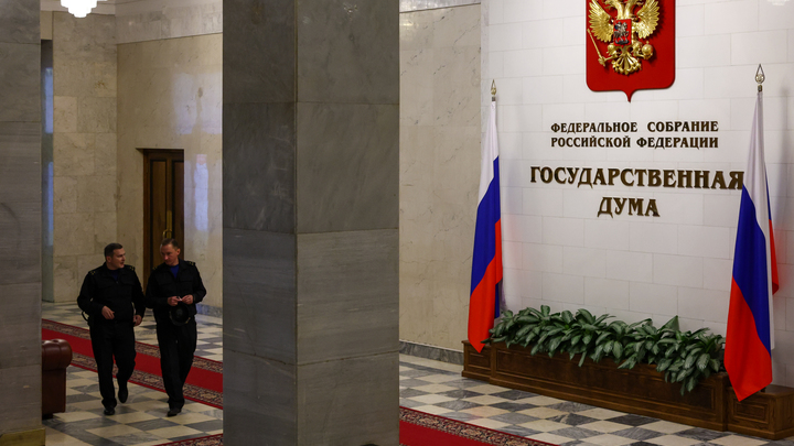 Что изменится в России в декабре 2024 года: новые правила для мигрантов, запрет чайлдфри и не только