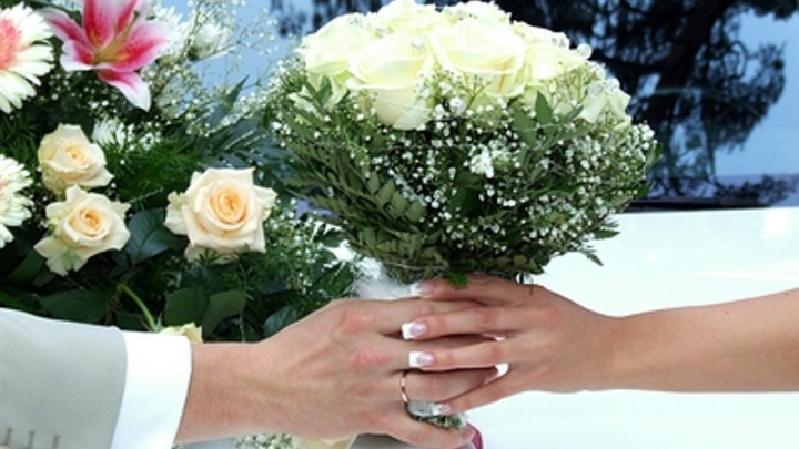 Количество браков в Краснодарском крае превысило разводы практически в 1,5 раза