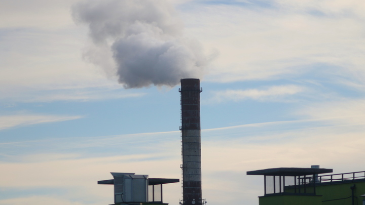 В Бердянске начался производственный процесс на предприятиях украинского миллиардера