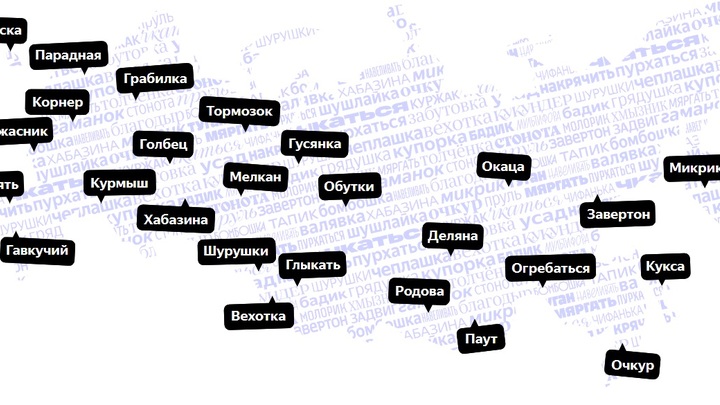 «Яндекс» рассказал об уникальных для Новосибирской области словах и выражениях