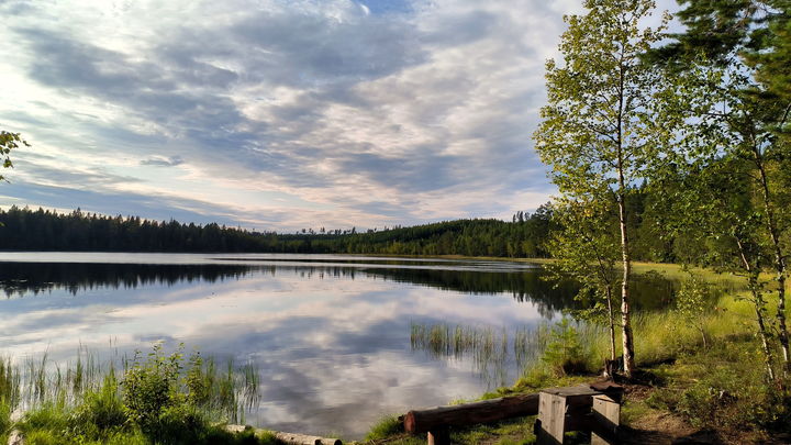 Погода в Ростове-на-Дону 26 сентября 2023: прогноз синоптиков