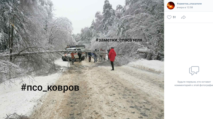 В Ковровском районе на одном участке дороги дерево дважды упало на автомобили
