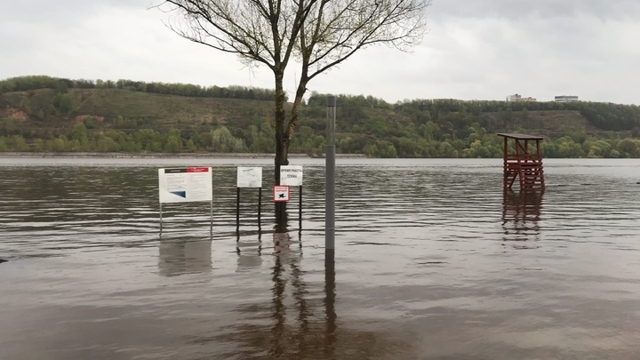 Понтонный мост через Оку планируют вернуть 19 мая в Павловском районе