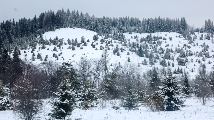 Загадка Усольцевых: спасатель назвал причину, по которой поиски в тайге могут никогда не закончиться