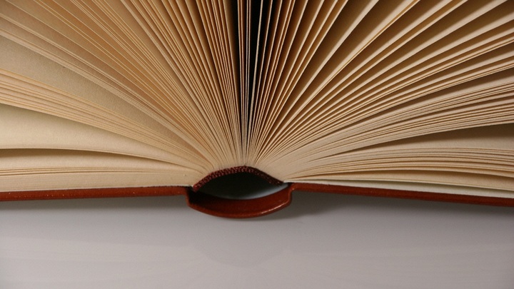 Чижик-пыжик проигрывает учёному коту. Петербуржцам советуют поторопиться