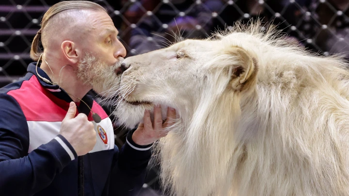 Трагедия в мариупольском зоопарке: Запашный объяснил, почему тигр набросился на мужчину