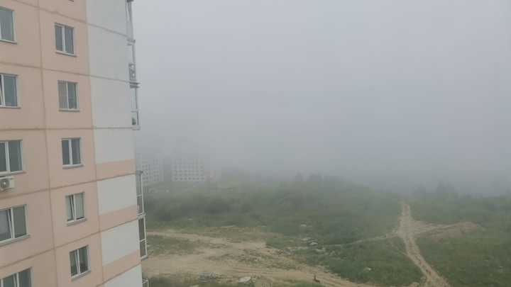 В первый день августа Новосибирск и область накрыл густой туман