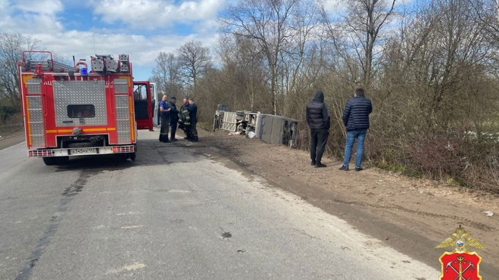 Авария в Ленинградской области: 50 человек улетели в кювет в пассажирском автобусе