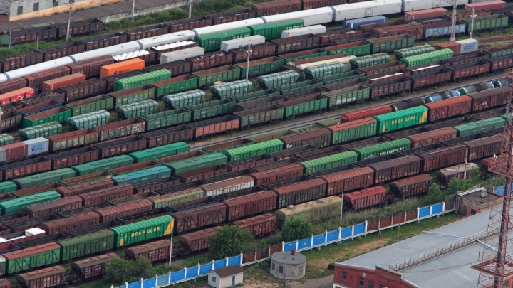 12 млрд в бананах: Крупнейшую партию кокаина нашли таможенники в порту Санкт-Петербурга