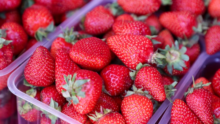 Секреты клубники и черники: Эксперт объяснил, как выбрать спелые и вкусные ягоды