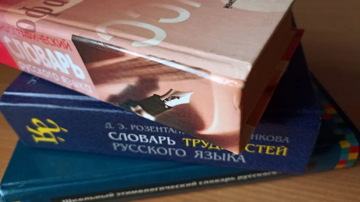 «Лабубомания» и «зумерский»: лингвисты зафиксировали 90 новых слов в русском языке