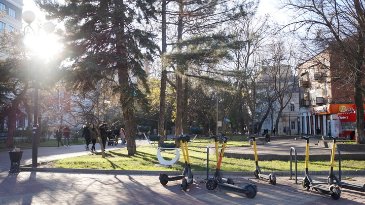 Погода в Ростове-на-Дону 8 ноября 2023: прогноз синоптиков