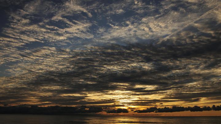 В США обнаружили разбившийся 17 лет назад самолёт с останками пассажира внутри