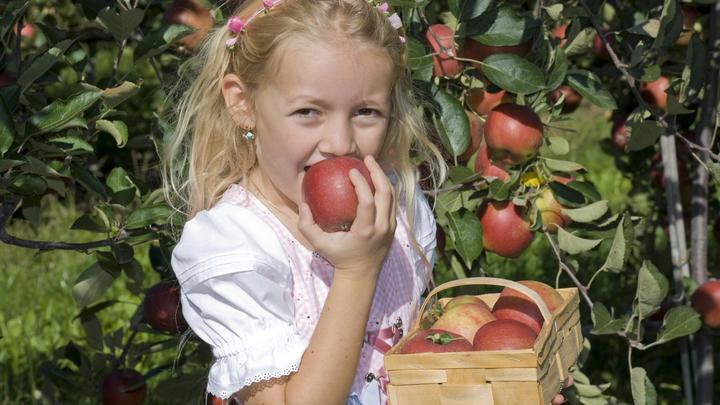 Диетологи перечислили молодильные продукты