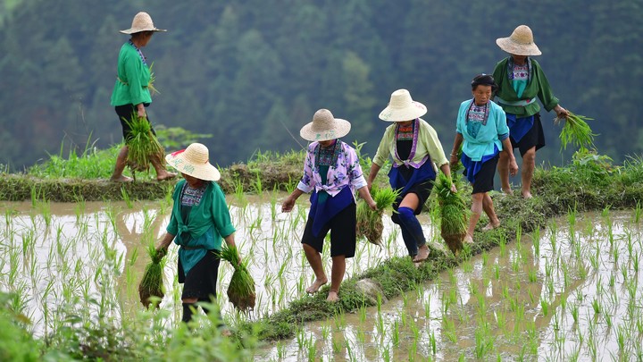 Россия обязательно столкнётся с Китаем: Пророчества русского историка уже начали сбываться