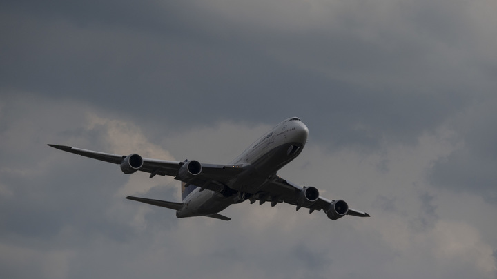 Окровавленный двигатель заставил отложить вылет авиалайнера из Москвы - источник