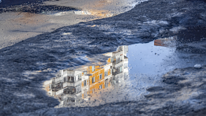 Обеспокоенным петербуржцам объяснили, откуда на лужах желтые разводы