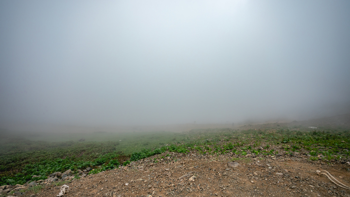 На Красной Поляне из-за дождя закрыли Подвесной мост, Верёвочный парк и Gorky Fly