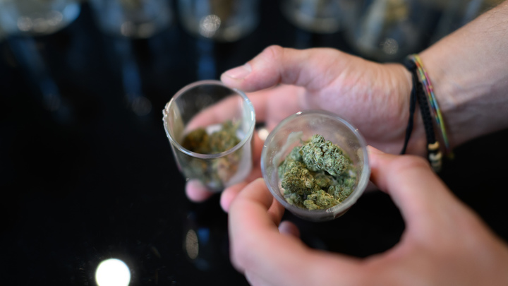 Запорожские полицейские изъяли наркотики у местного жителя