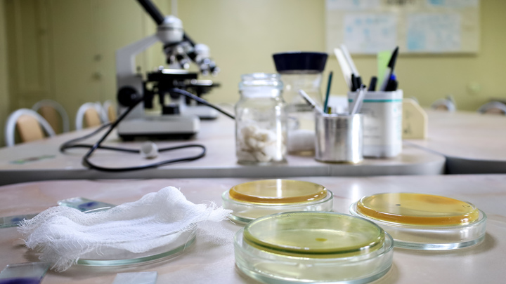 Детей погубили не пельмени: Обнаружены новые детали в деле об отравлении семьи в Красноярском крае