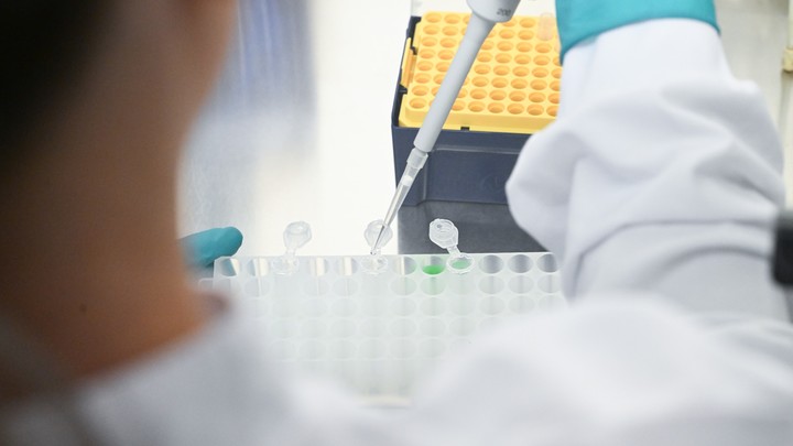 Забудьте про COVID: 10 тыс. неизученных вирусов животных могут угрожать людям